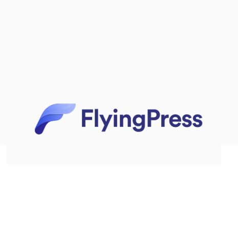 FlyingPress插件轻量级WordPress速度优化插件